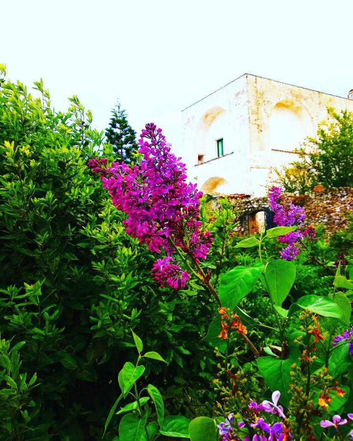 Masseria Delle Rose 1760 Alessano Buitenkant foto