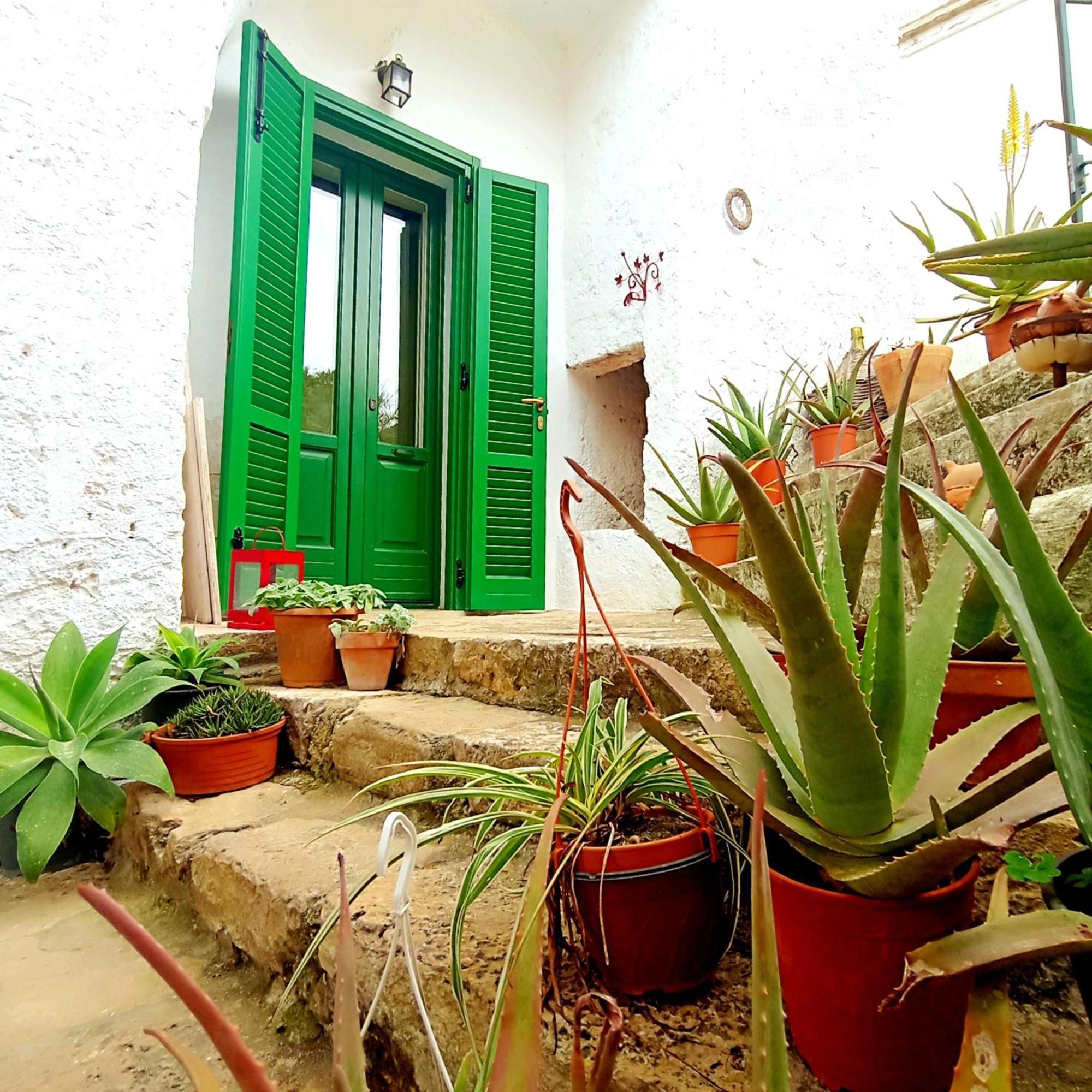 Masseria Delle Rose 1760 Alessano Kamer foto